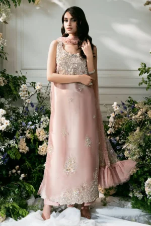 Pink Rose Formals By Zainab Salman