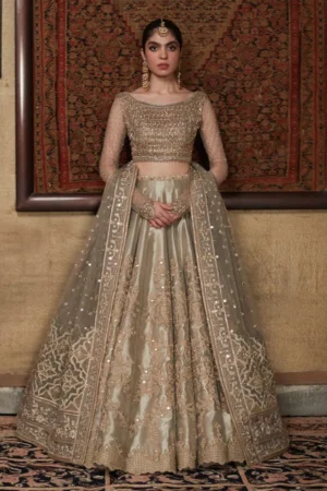 Formals Sanaz Delal By Faiza Saqlain