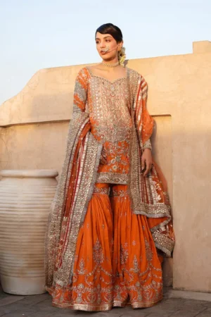 Ready To Ship Sevgi By Faiza Saqlain