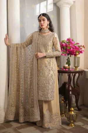 Ready To Ship Aurela By Faiza Saqlain