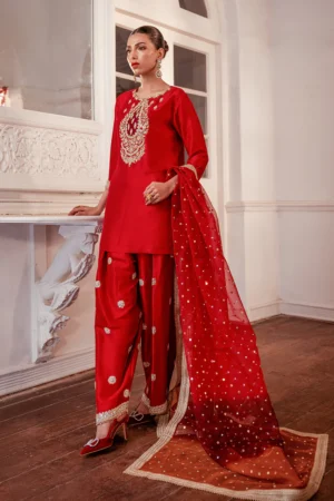 Janiyaan Formals Hayam By Zainab Chottani