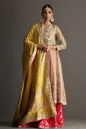 Aila Festive 24 Ktd4084 By Deepak Perwani