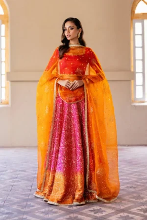 Formals Majestic rougue By Zainab Chottani