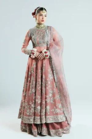 Sitary Tropica By Hussain Rehar