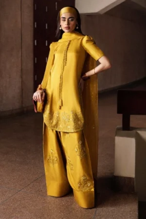 Luxury Pret Maize By Hussain Rehar