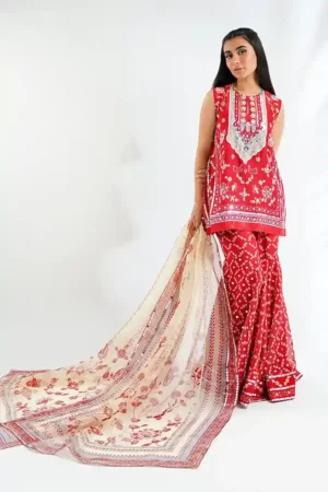 Diwali Edit 24 Vina (B) By Sania Maskatiya