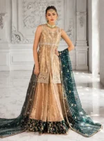 Formals Inaaya By Zainab Chottani