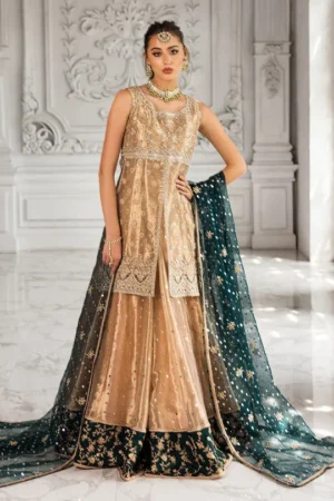Formals Inaaya By Zainab Chottani