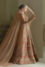 Wedding Festive 24 PEARL OF MAHARANI (EC24-04) By Elan