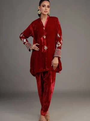 Petunia Plush By Nida Azwer Occasion Wear