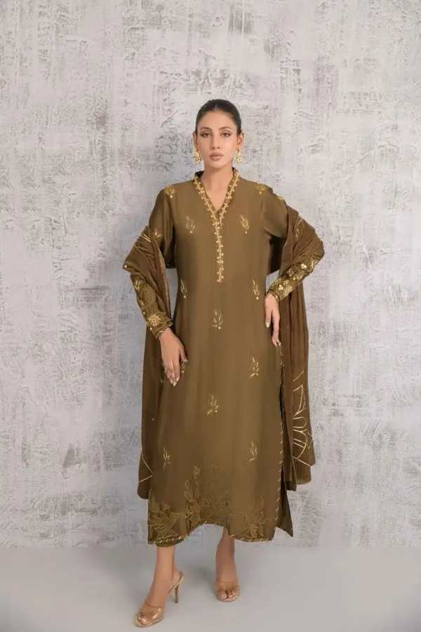 Amera By Shireen Lakdawala Zeya Velvets