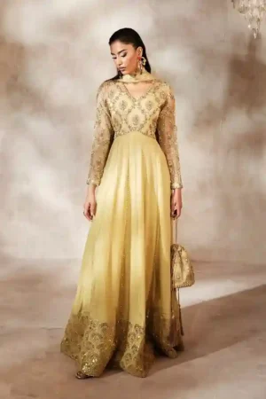 Zesty By Mahum Asad Formal