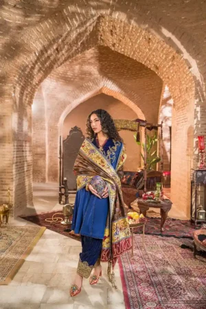 Qurat ul Ain Sahib e Manzil Shawl By Nilofer Shahid