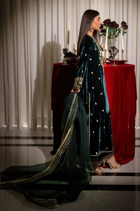 Ansab Jahangir Luxury Velvets | Blair