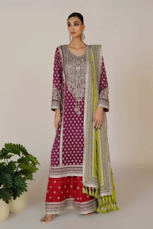 Zirah Multi By Rizwan Beyg Shahaana