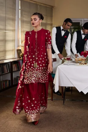 Hussain Rehar SS Luxury Pret - Rasp