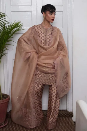 Hussain Rehar SS Luxury Pret - Fran