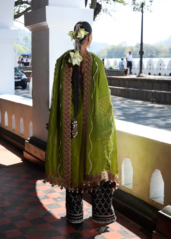 Hussain Rehar Luxury Lawn 25 - Abass