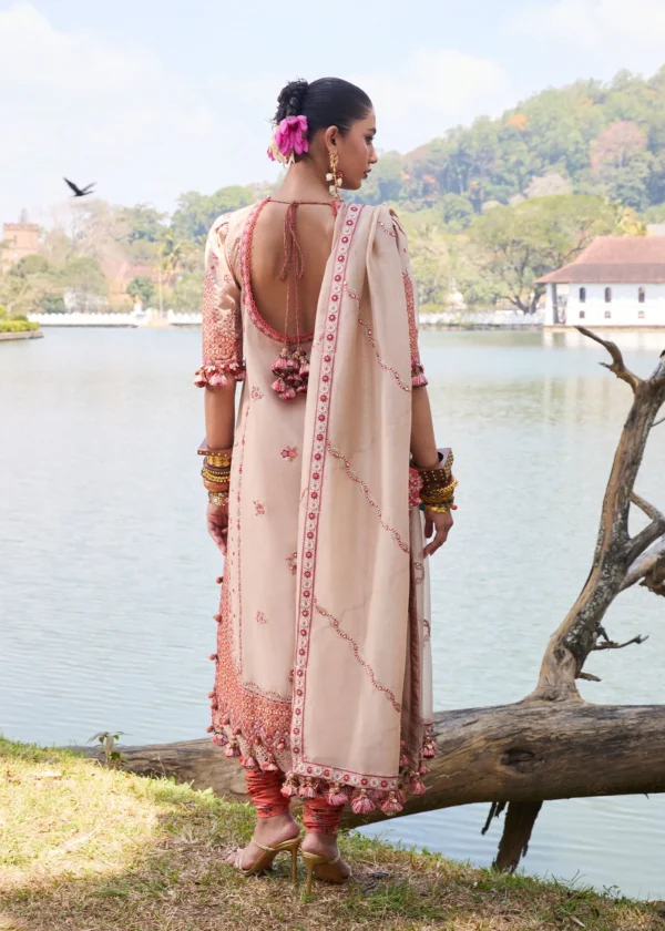 Hussain Rehar Luxury Lawn 25 - Mari