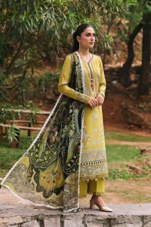 Republic Summer Lawn - D1-A - Numa