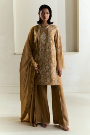Zara Shahjahan Eid Festive 25 - ZR25F0548