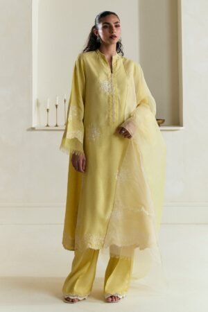 Zara Shahjahan Eid Festive 25 - ZR25F0534