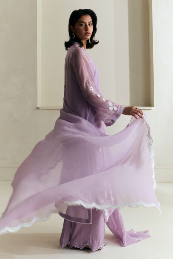 Zara Shahjahan Eid Festive 25 - ZR25F0544