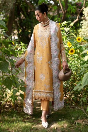 Republic Embroidered Pret 25 - M-150
