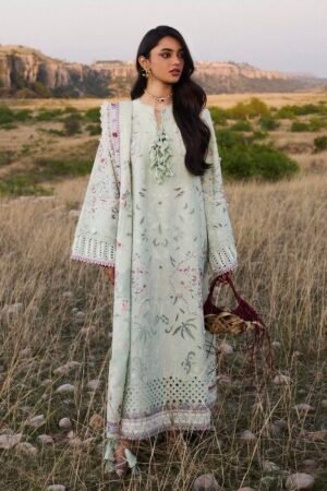 Suffuse Summer Lawn 26 - Seroli