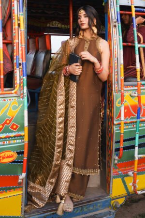 Mohsin Naveed Ranjha Punjab Festive Edit - Mitti