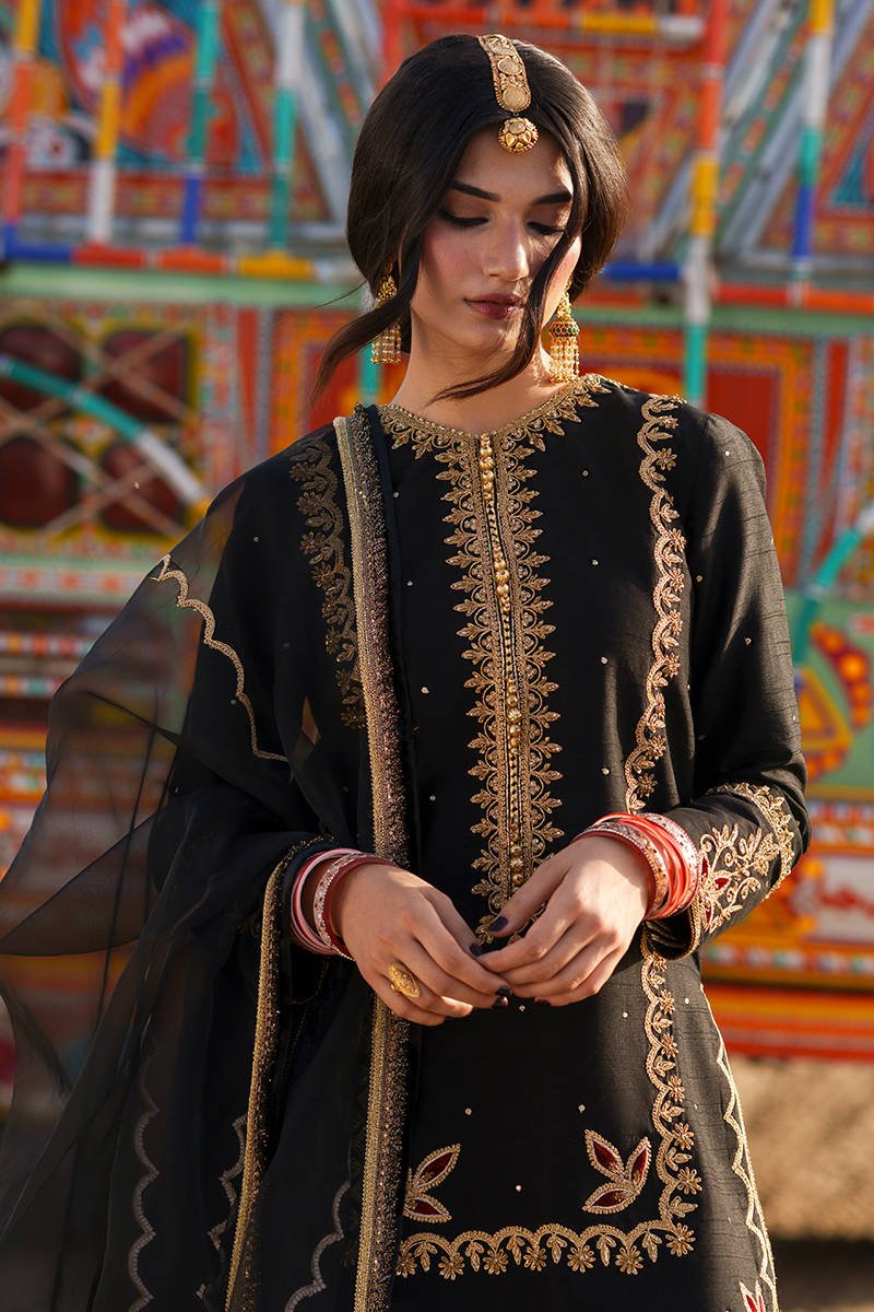 Mohsin Naveed Ranjha Punjab Festive Edit - Pannu
